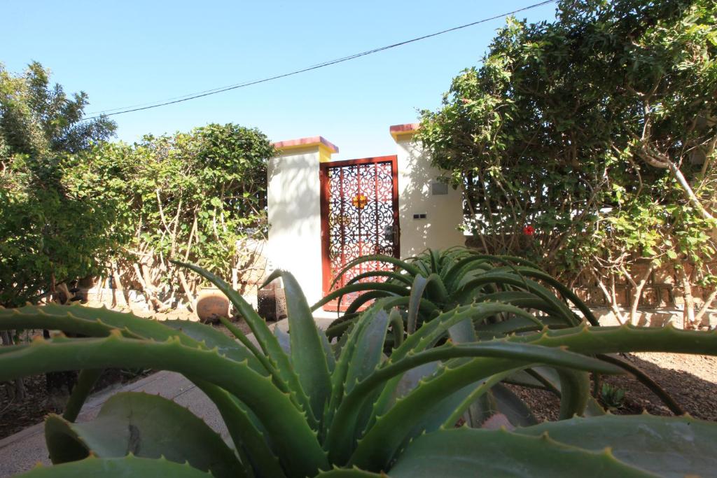 La Maison Jaune Dakhla Maison d'hotes photo