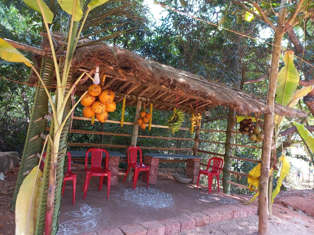 NIDHIVANA FARMS & RESORT, bakrebail-salethoor rd, Mangalore photo