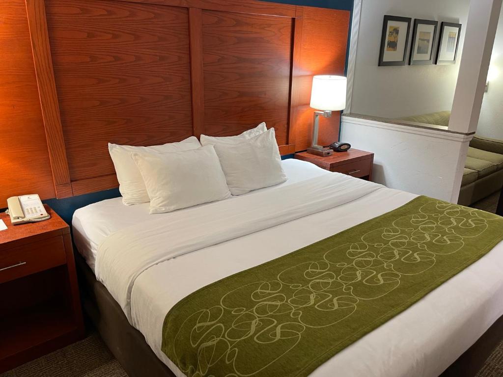 Comfort Suites Lake Charles photo