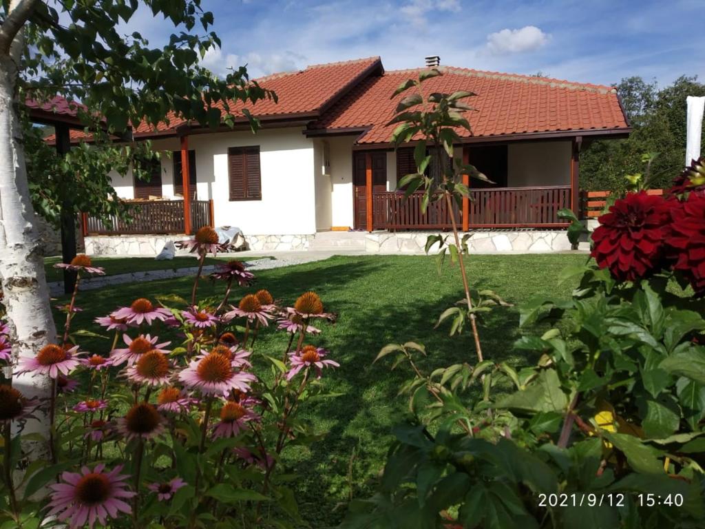Bjelasica Home - 2
