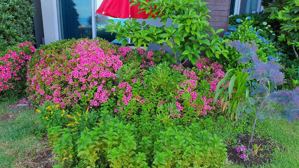 バルコニー/テラス