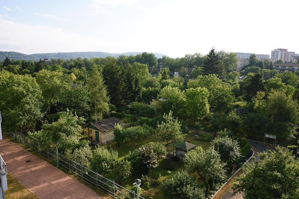 Mhost Bronowice photo