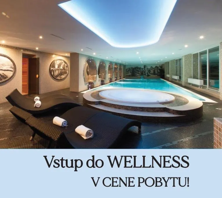 Wellness Hotel Vinnay, hotel ve Vinném
