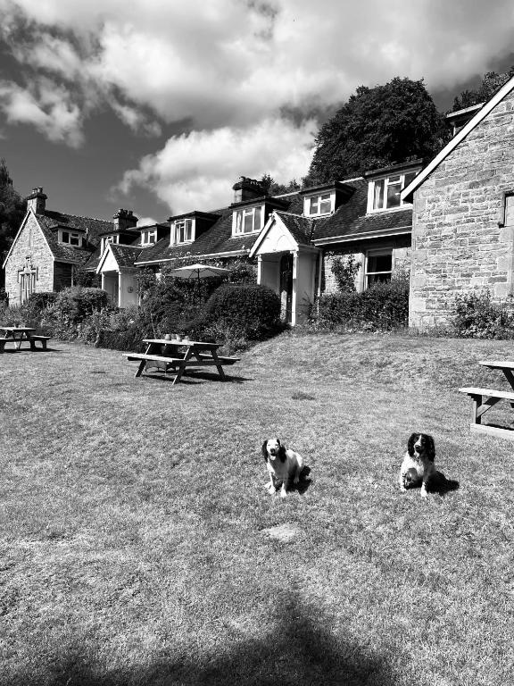 The Cnoc Hotel, Beauly
