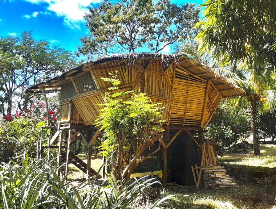 Finca La Magia photo