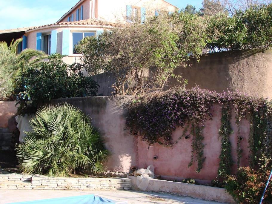 Incredible apartment near the sea and calanque - 2