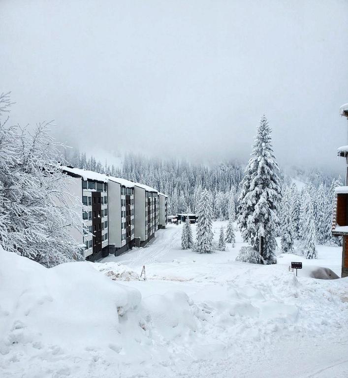Iskra L5A11 apartman - Jahorina - 1