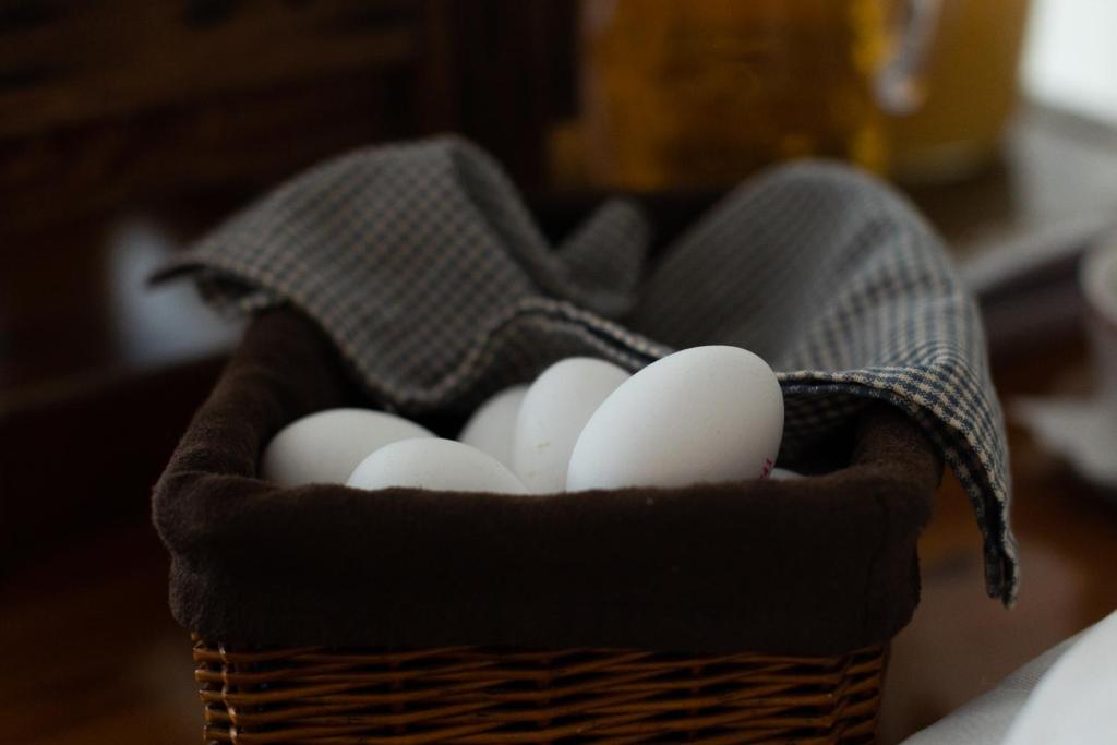 Bed&Breakfast Tuure photo