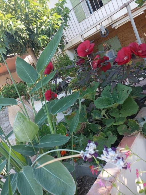 L'Oustaou Dorey - 5