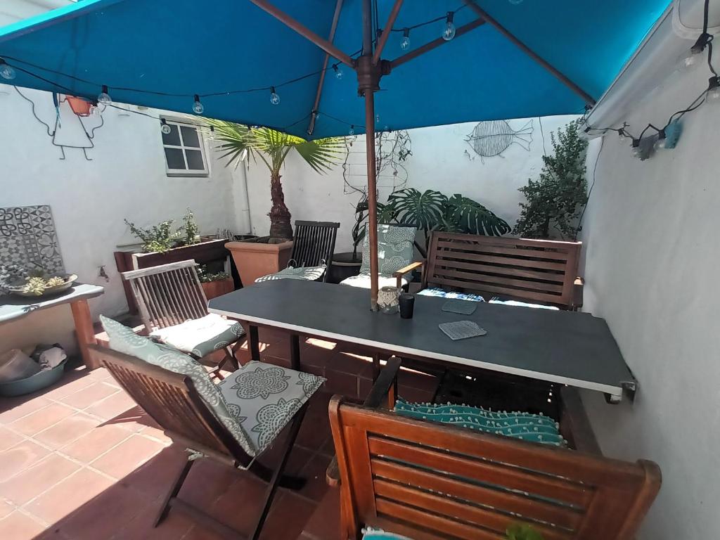 Garden, House on the Hill in Cape Town