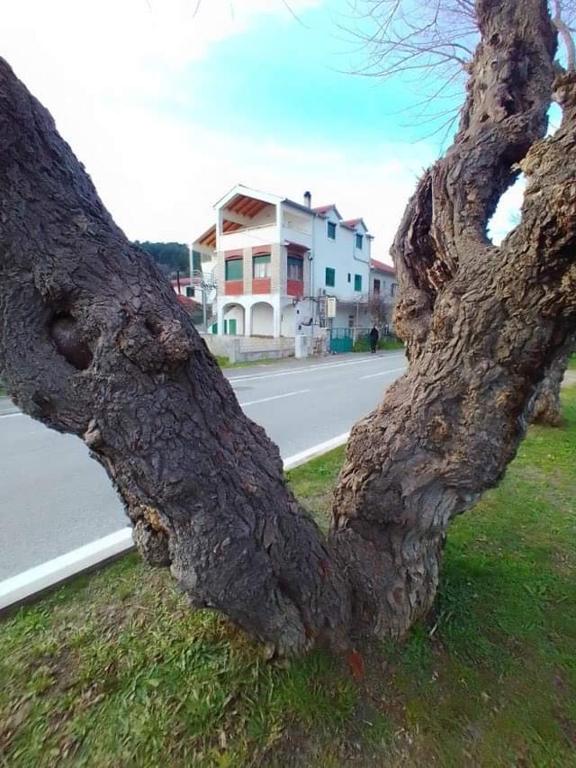 Apartments Pulic photo
