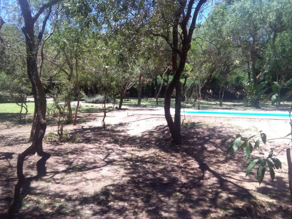 Paraiso Serrano - 3