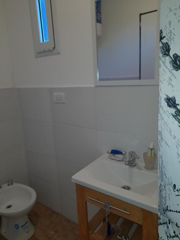 Las Golondrinas Container - 5