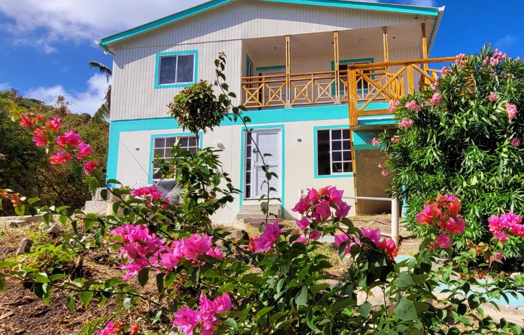 Colorful Garden House - 2