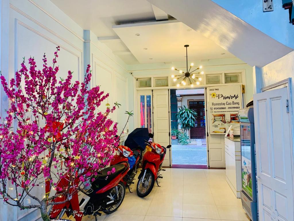 Primrose Homestay Cao Bang 호텔 이미지 2