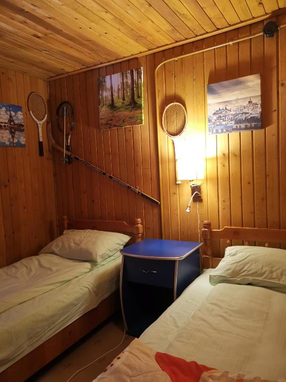 Cabana Fantanita cu Brazi photo
