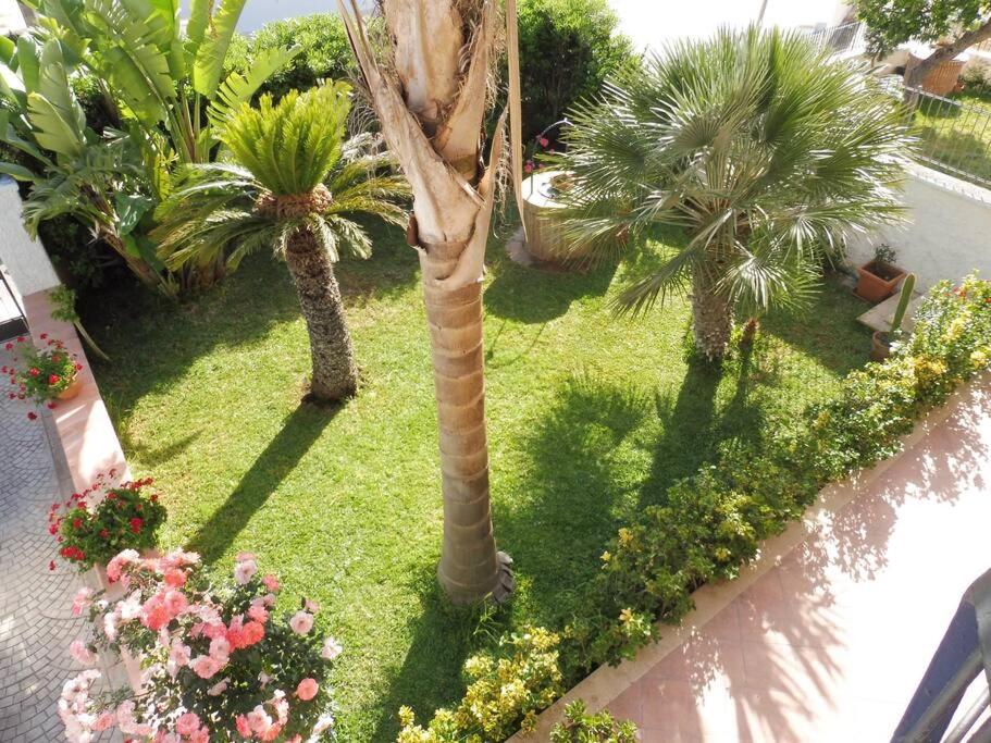 Appartamento in Villa a 100 metri dal mare - 4