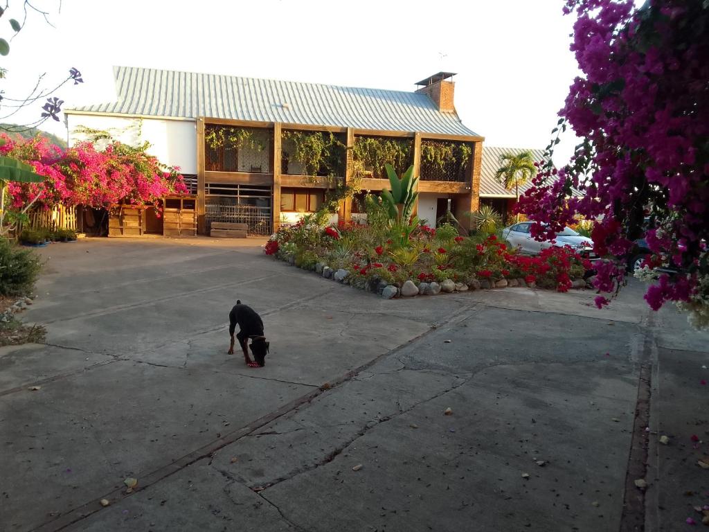 Tranquility Estate photo