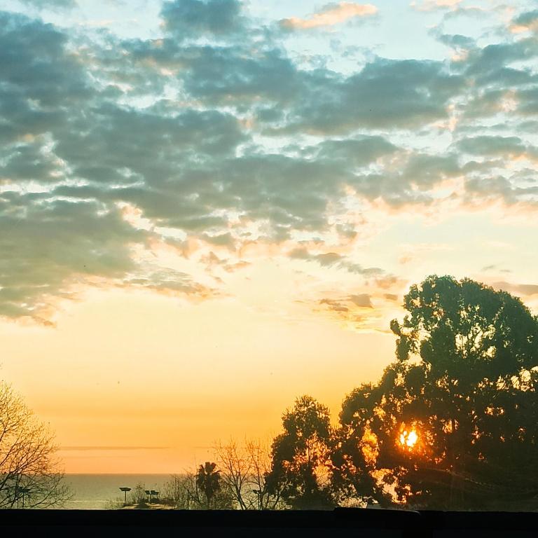 Jacaranda Loft - En Olivos - Buenos Aires - 2