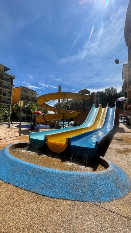 GOLD COAST MORIB @ 3346 photo