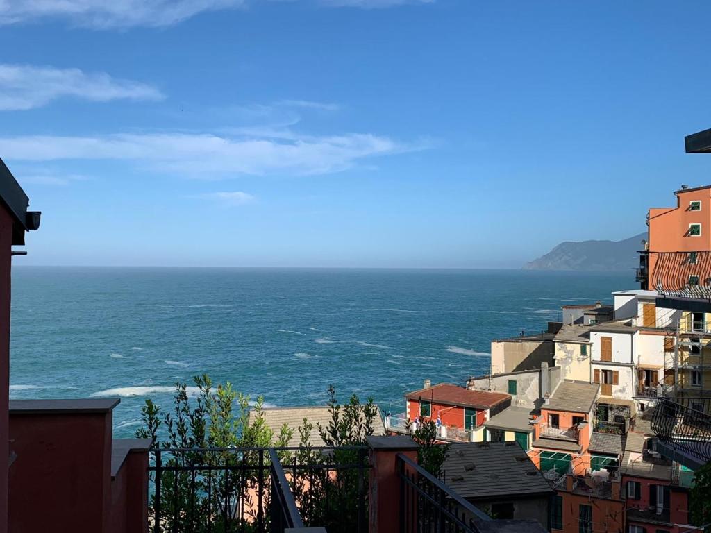 Arancio, Riomaggiore
