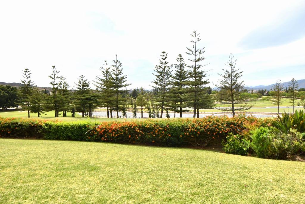 Beautiful Apt with Golf & Lake Views Mijas Golf - 4