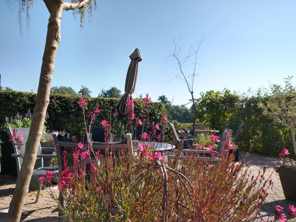 Hotel Restaurant de Joremeinshoeve photo