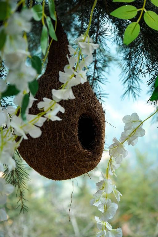 Freebird Nest jibhi photo