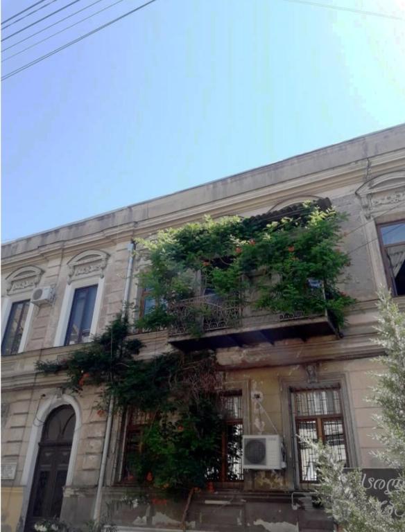 Beautiful 2-room apartment hosted by a Georgian Artist, Tbilisi