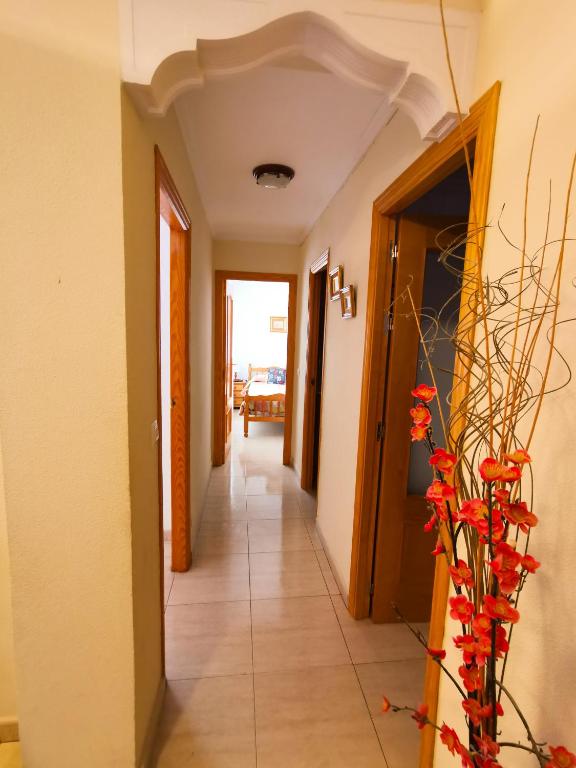 Centro cerca playa - 4