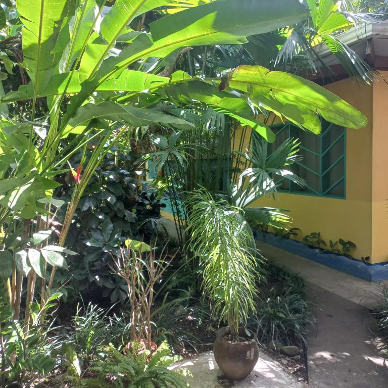 Cabinas Guarana photo