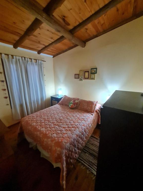 Cabaña Alma 2 - 3