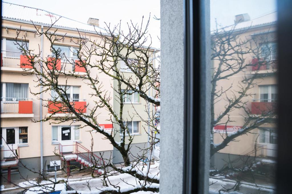HARMONY Stay APARTAMENTAI photo