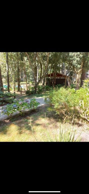 Departamento en Pucon - 2
