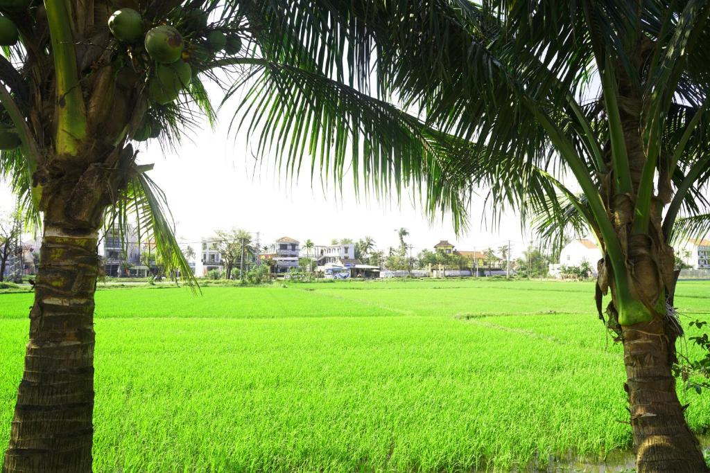 Hoang Y Homestay 호텔 이미지 2
