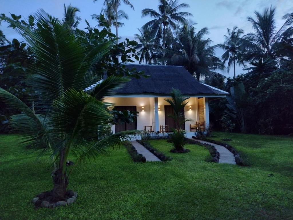 4. 해피 코코넛 카..