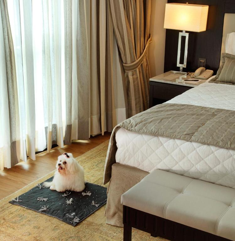 Miramar Hotel By Windsor Photo 43