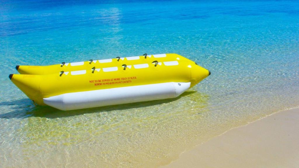 Programlehetőségek