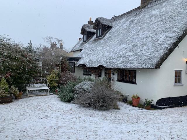 The Cottage Studio photo