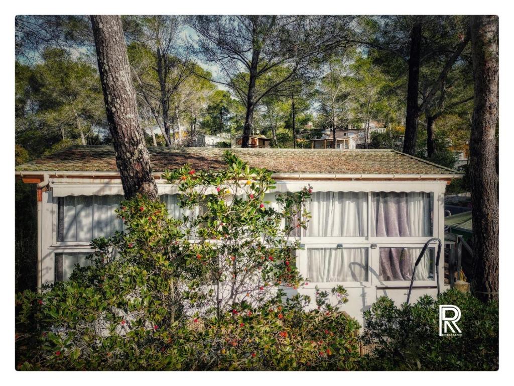 escabour 40 - superbe mobil home, climatisé, ss vis a vis, au calme, dans super domaine - 4