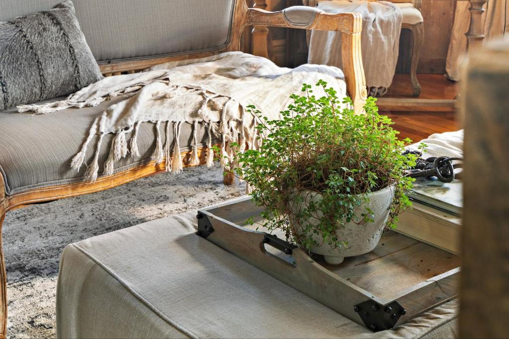 The Watson Boutique Bed and Breakfast photo
