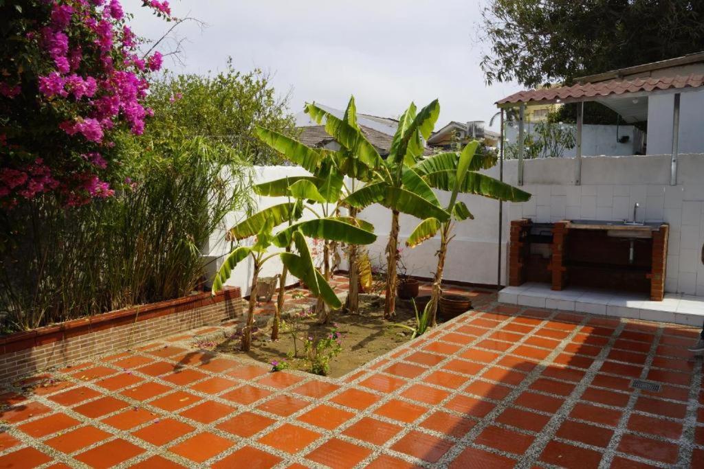 Hotel Mar di Plata photo