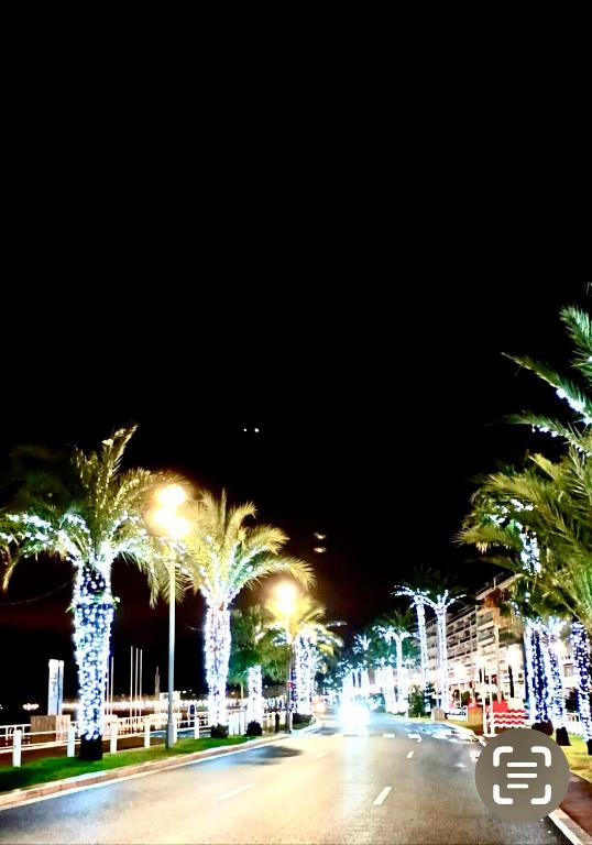 France Nice Promenade Des Anglais 80m² Piano - 3