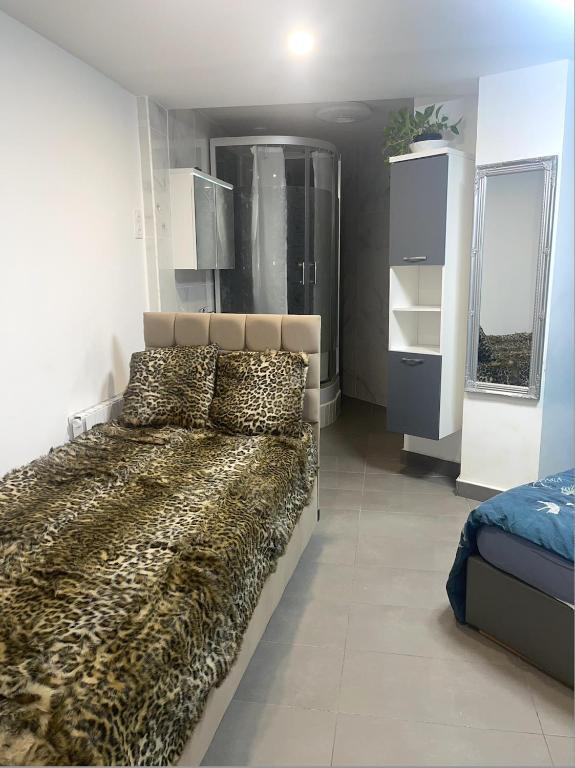 Jolie chambre tout confort dans appartement partagé - 5