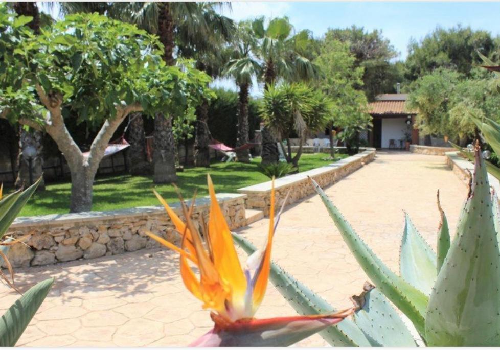 Villa Maia - 1