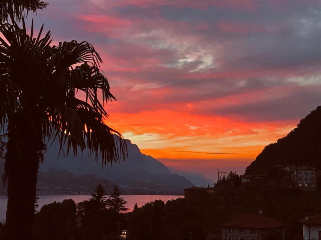 Villa Mojana Bellagio photo