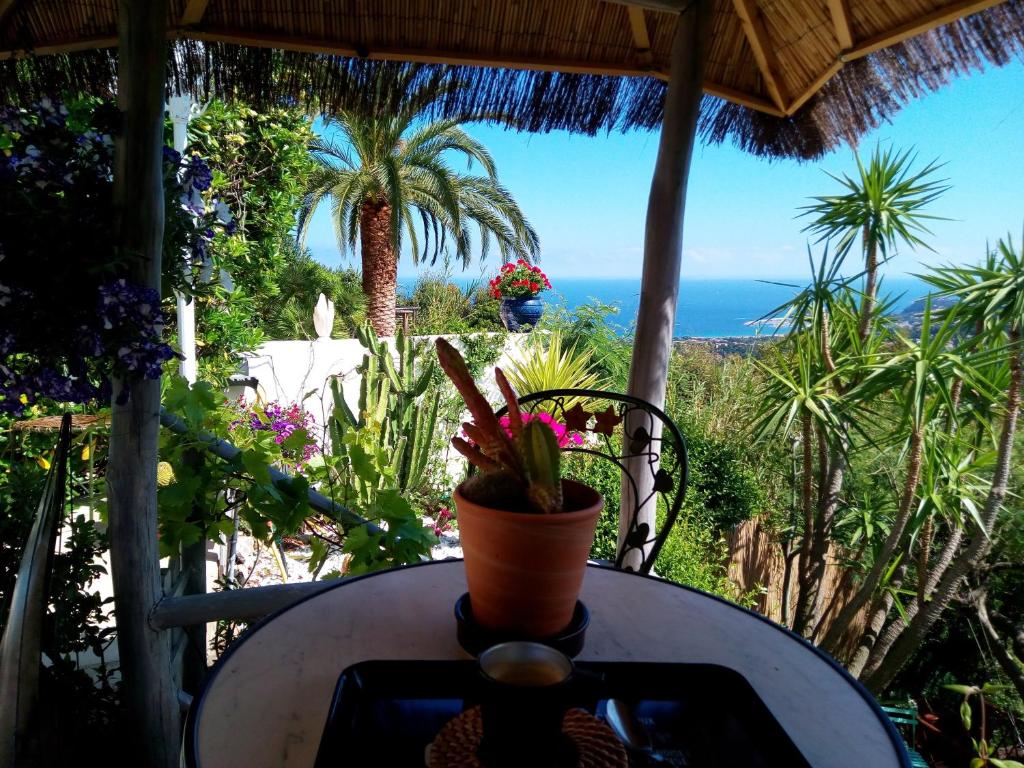 NOUVEAU ! Chambre d'Hôte Insolite PRIVEE " CŒURS DE PIRATES à BALI EN PROVENCE" SPA SAUNA MASSAGES dans cadre EXOTIQUE d'Aménagements EXTÉRIEURS D'EXCEPTION ÉTÉ comme HIVER BIENVENUE !!! - 3