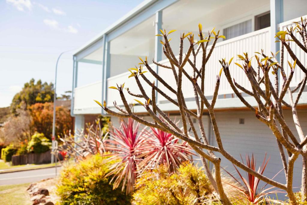 Mollymook Motel photo