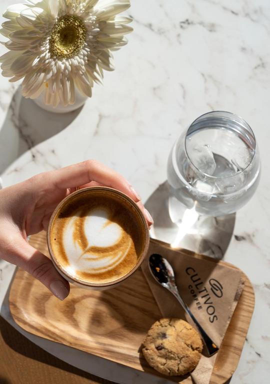 お料理のイメージ