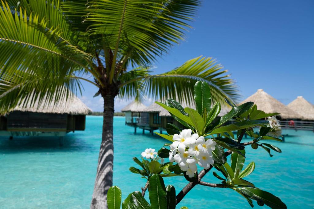 フィットネスセンター